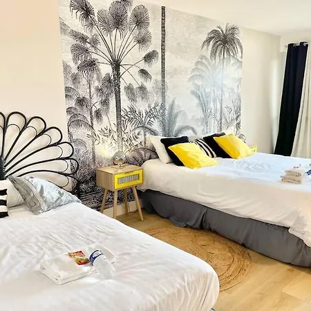 Erlon Duplex Spacieux , Balneo * Reims