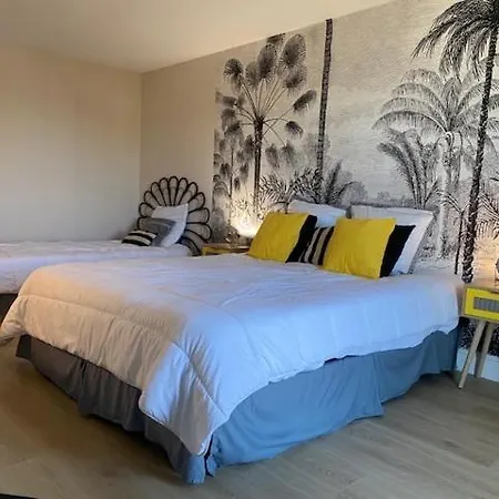 Erlon Duplex Spacieux , Balneo *